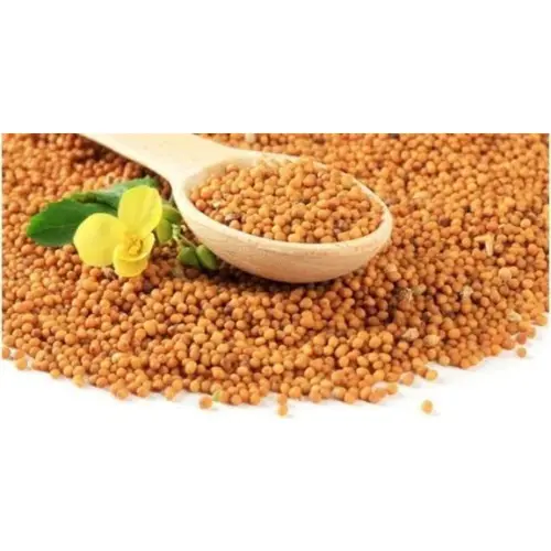 সরিষার-বীজ-Copy-1